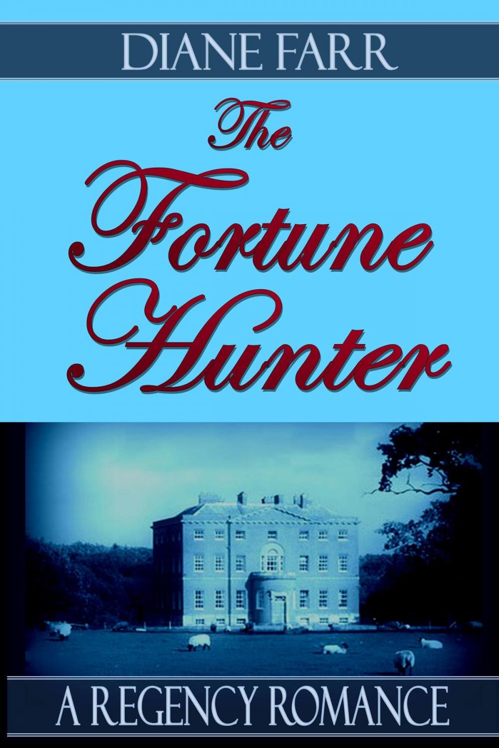 Big bigCover of The Fortune Hunter