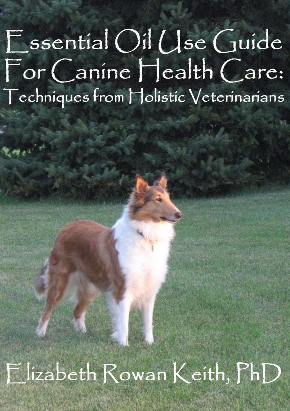 Big bigCover of Essential Oil Use Guide For Canine Health Care: Techniques from Holistic Veterinarians