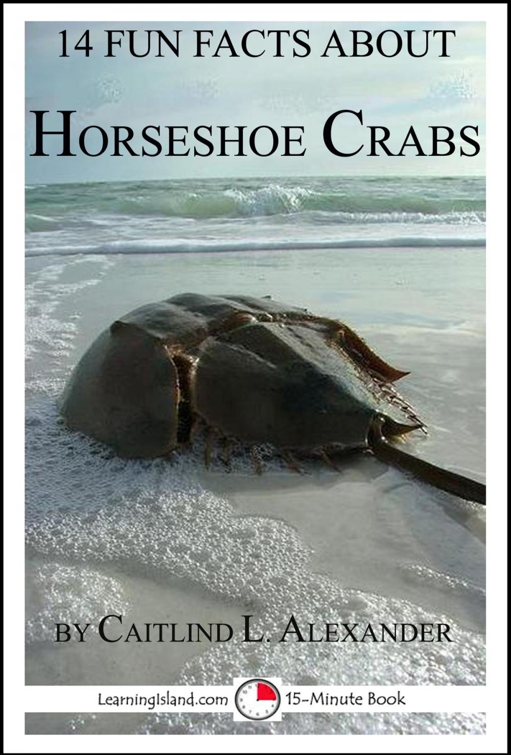 Big bigCover of 14 Fun Facts About Horseshoe Crabs: A 15-Minute Book