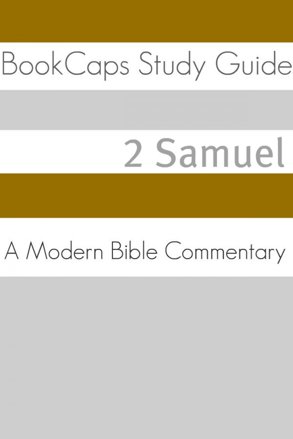 Big bigCover of 2 Samuel: A Modern Bible Commentary