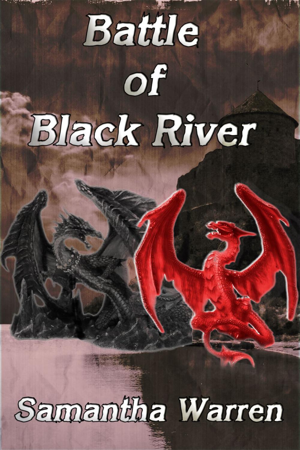 Big bigCover of Battle of Black River