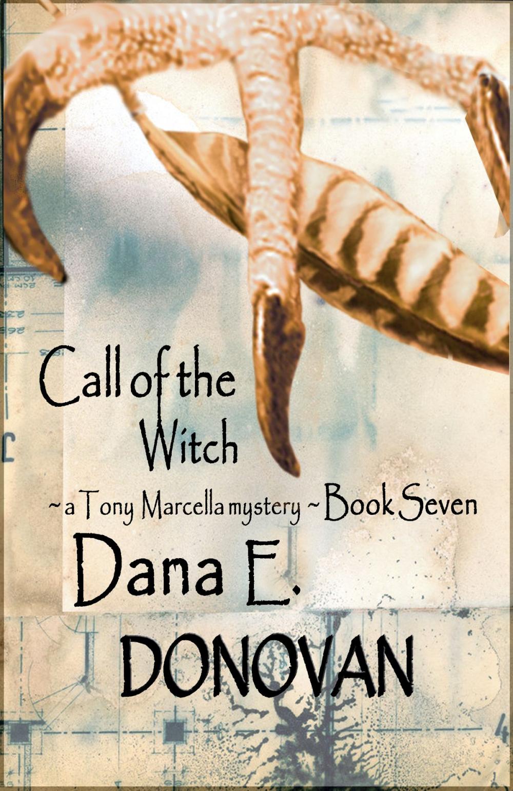 Big bigCover of Call of the Witch (Paranormal Detective Mystery series, book 7)