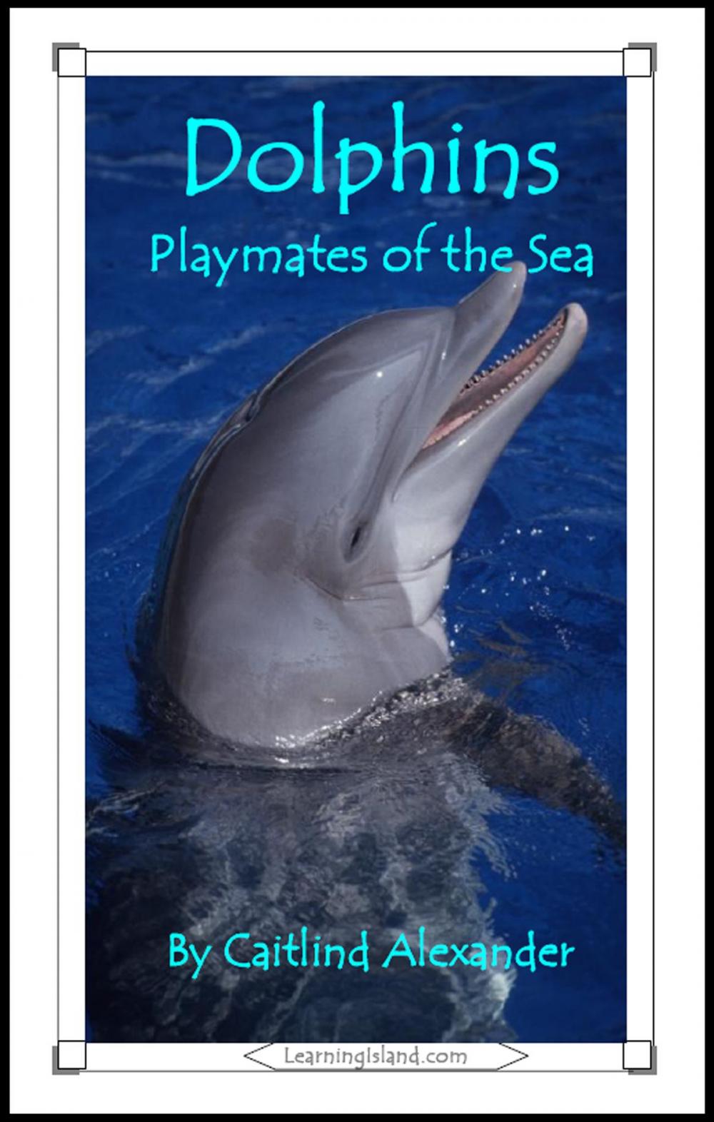 Big bigCover of Dolphins: Playmates of the Sea