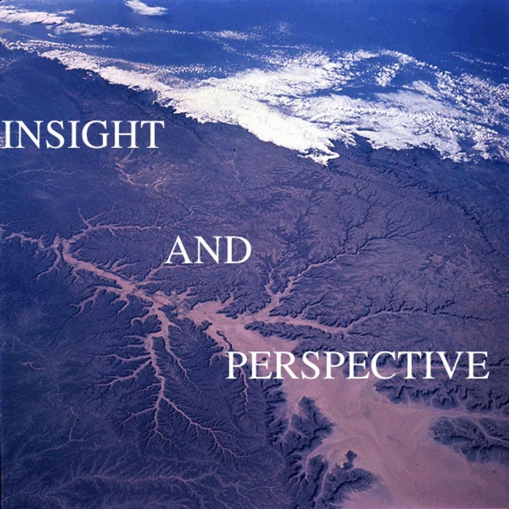 Big bigCover of Insight and Perspective