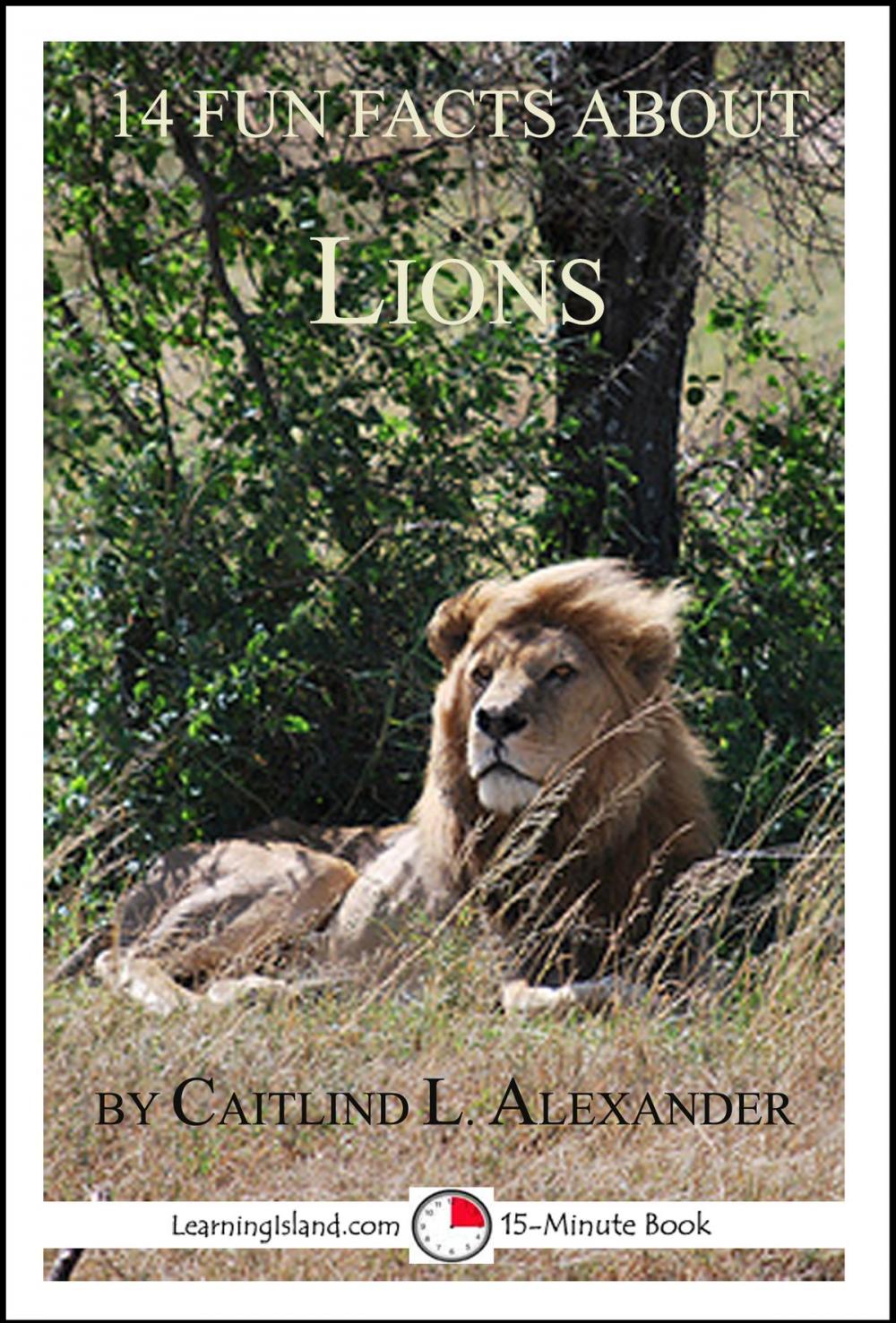 Big bigCover of 14 Fun Facts About Lions: A 15-Minute Book