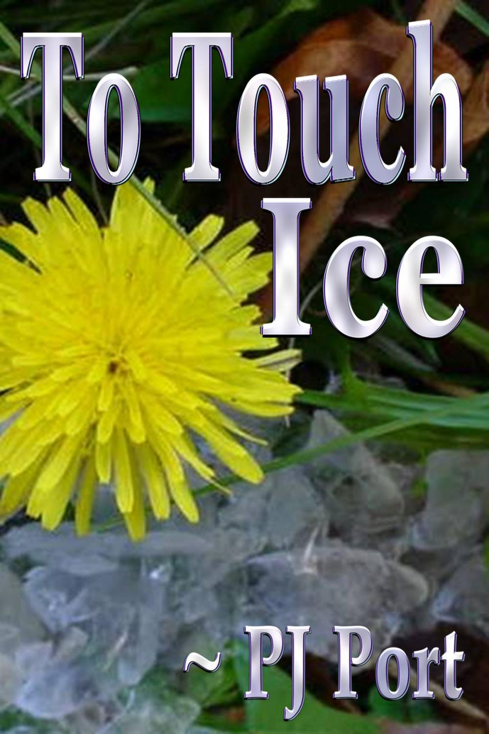 Big bigCover of To Touch Ice