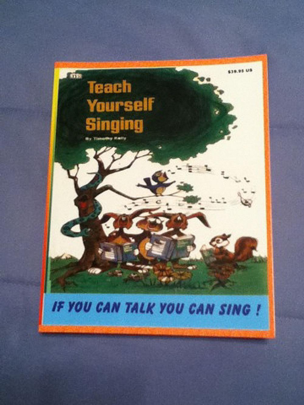 Big bigCover of Teach Yourself Singing If You Can Talk You Can Sing