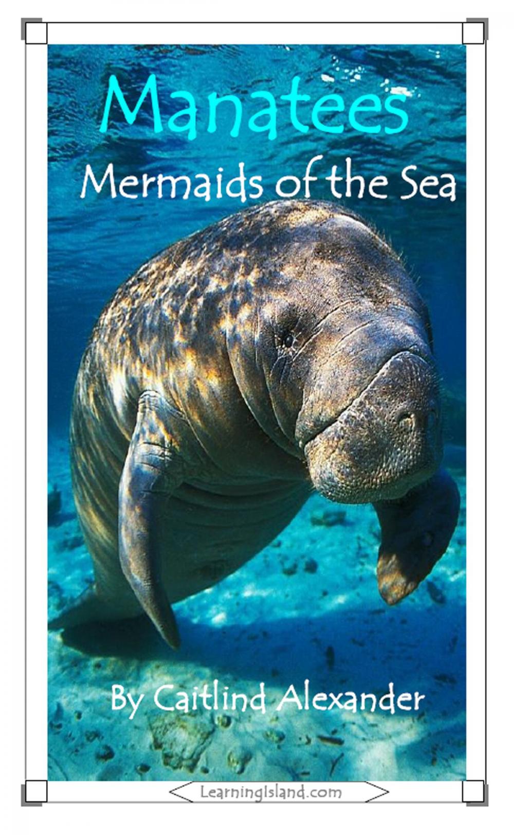 Big bigCover of Manatees: Mermaids of the Sea