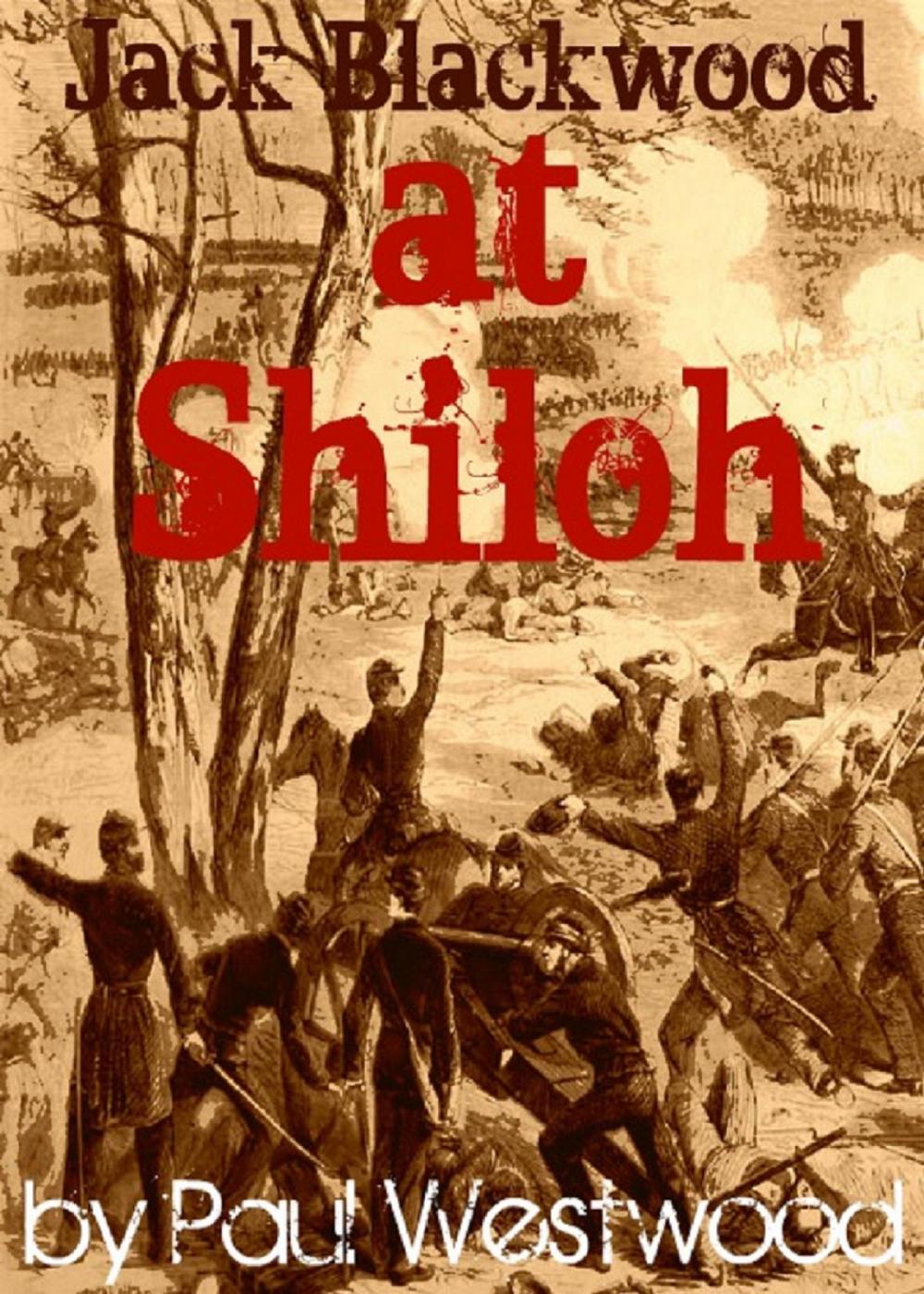 Big bigCover of At Shiloh