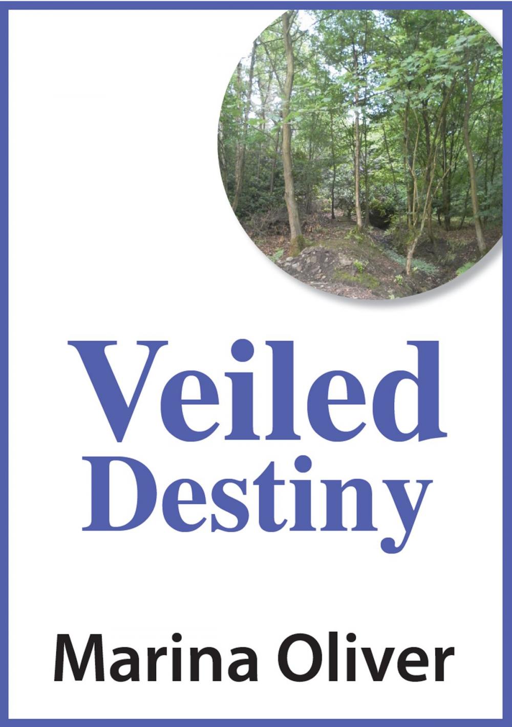 Big bigCover of Veiled Destiny