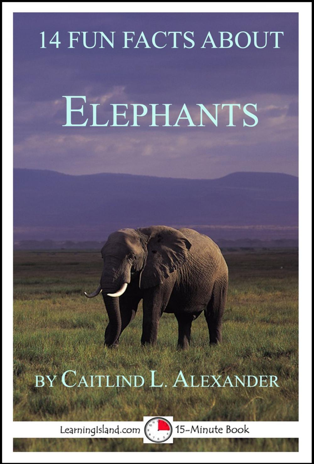 Big bigCover of 14 Fun Facts About Elephants: A 15-Minute Book