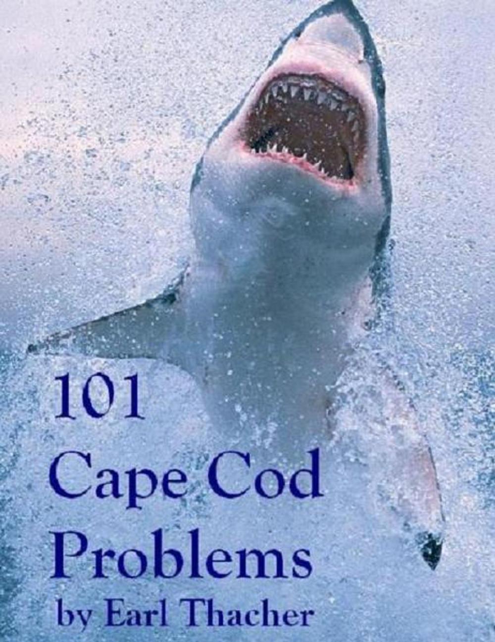 Big bigCover of 101 Cape Cod Problems