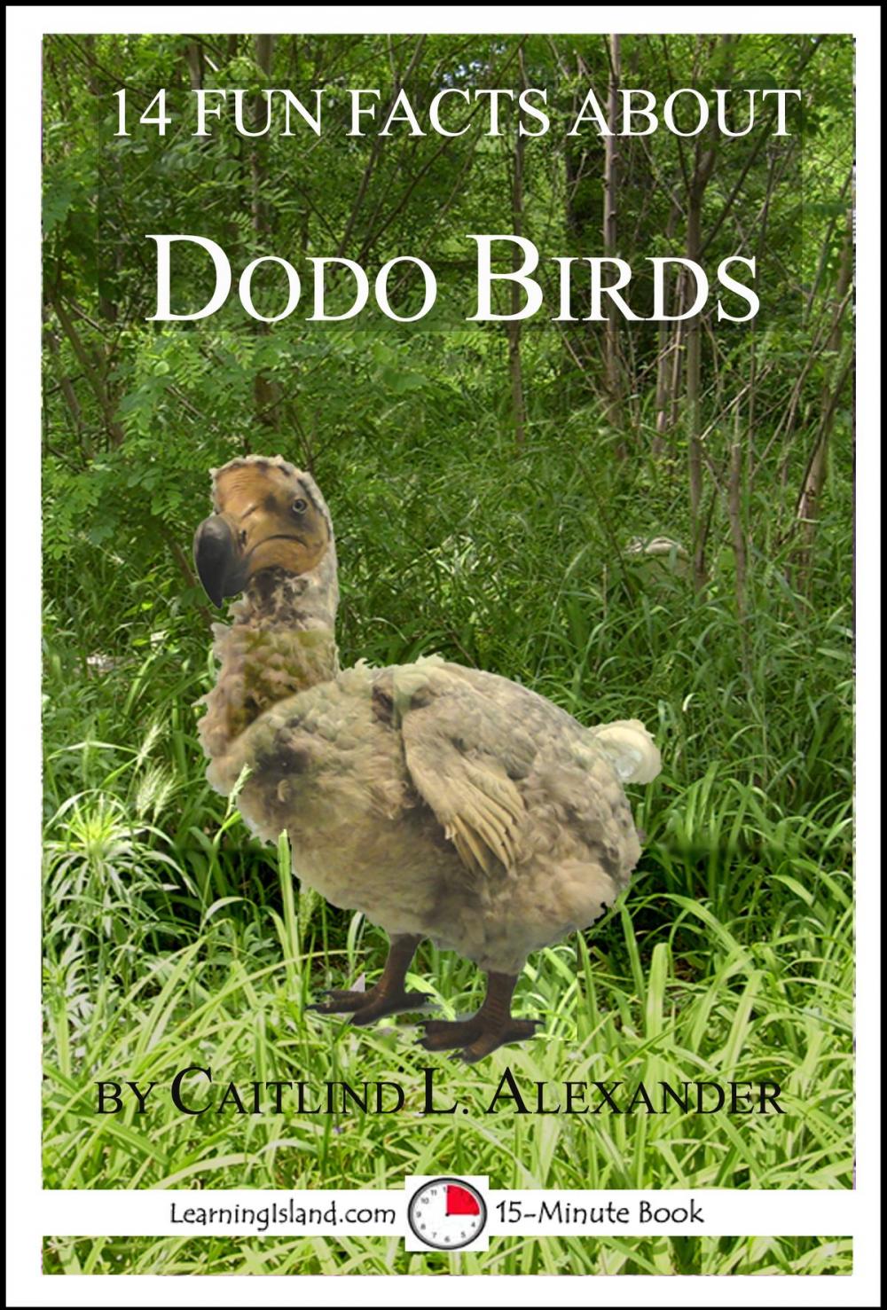 Big bigCover of 14 Fun Facts About Dodo Birds: A 15-Minute Book