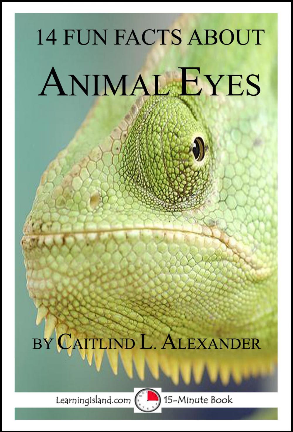 Big bigCover of 14 Fun Facts About Animal Eyes: A 15-Minute Book