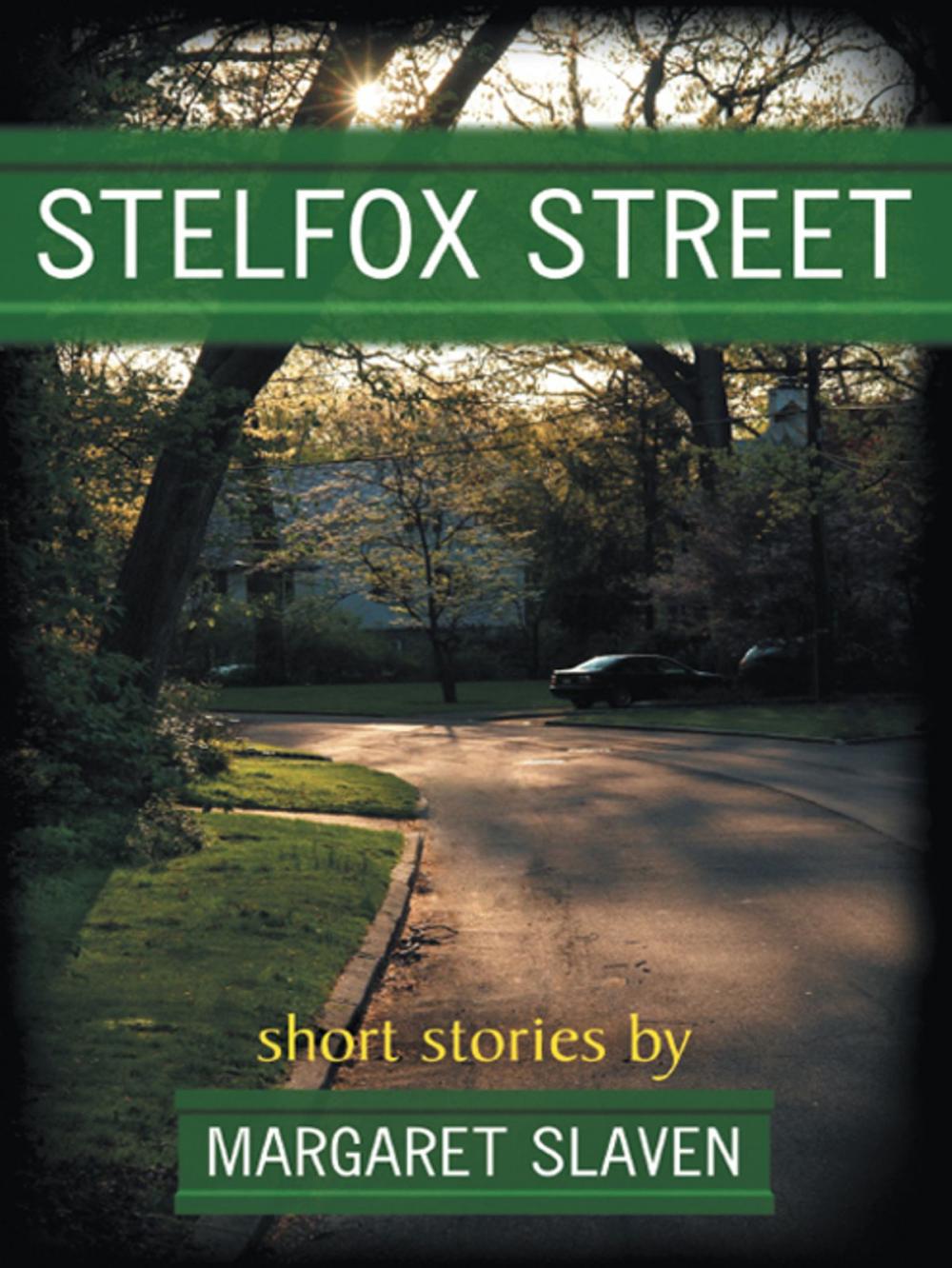 Big bigCover of Stelfox Street