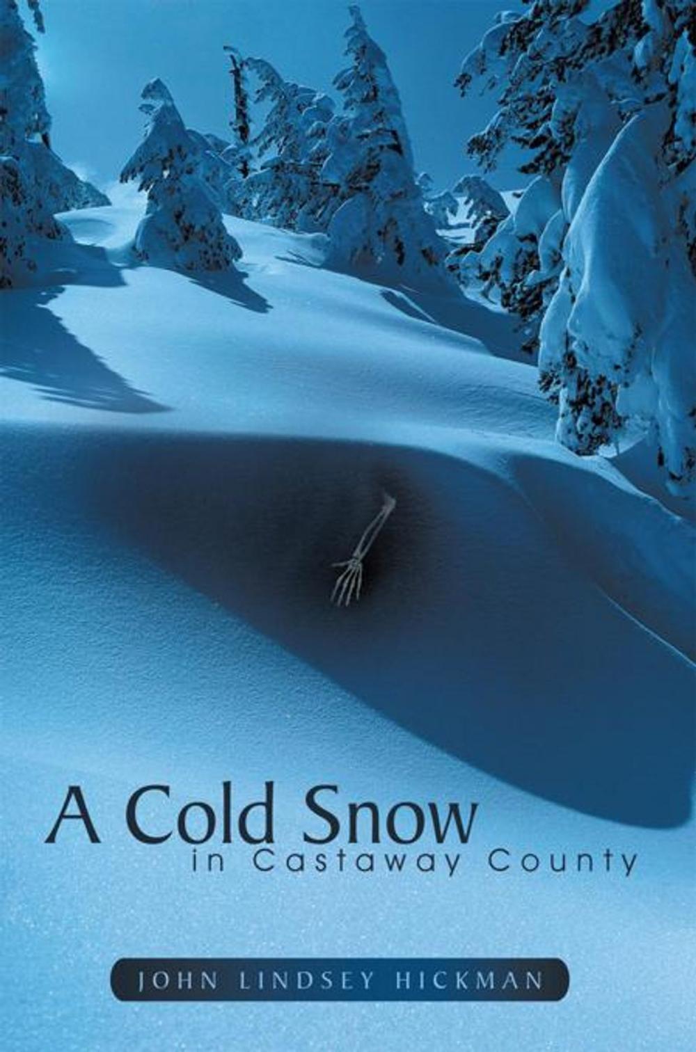 Big bigCover of A Cold Snow in Castaway County