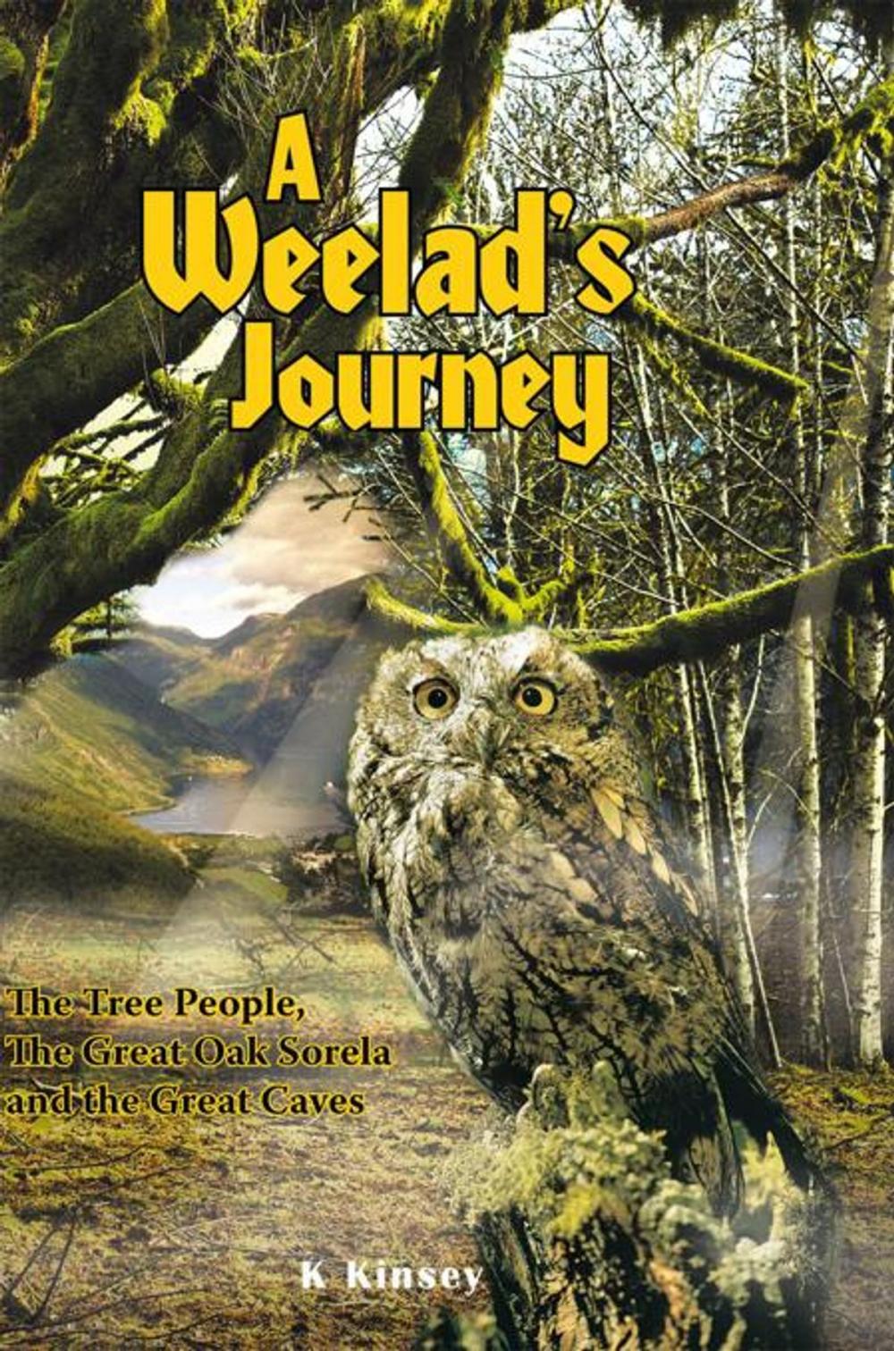 Big bigCover of A Weelad's Journey