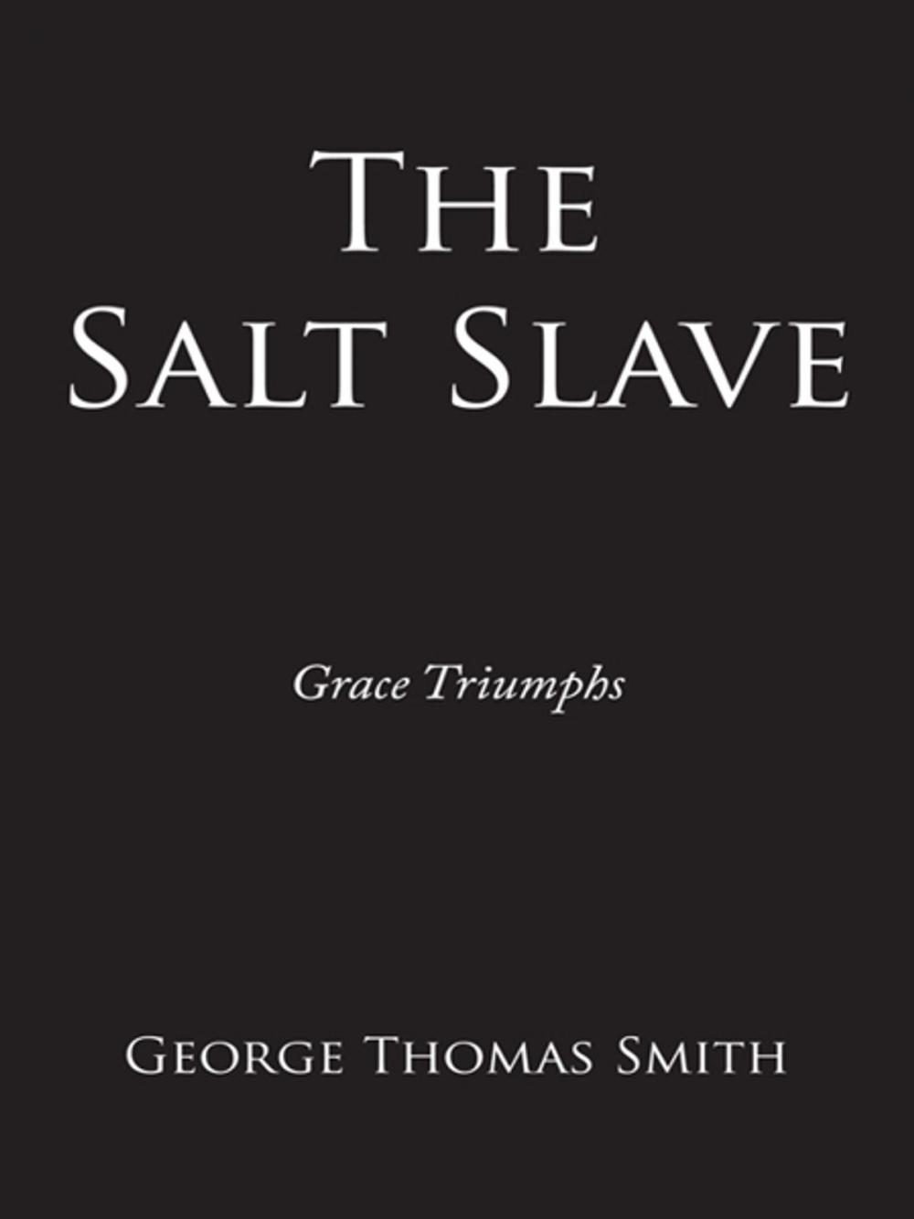 Big bigCover of The Salt Slave