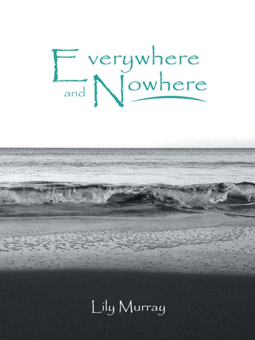 Big bigCover of Everywhere and Nowhere