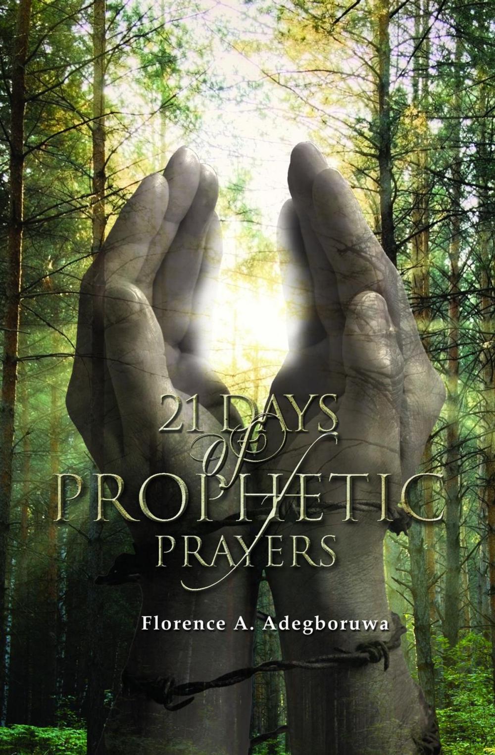 Big bigCover of 21 Days of Prophetic Prayers