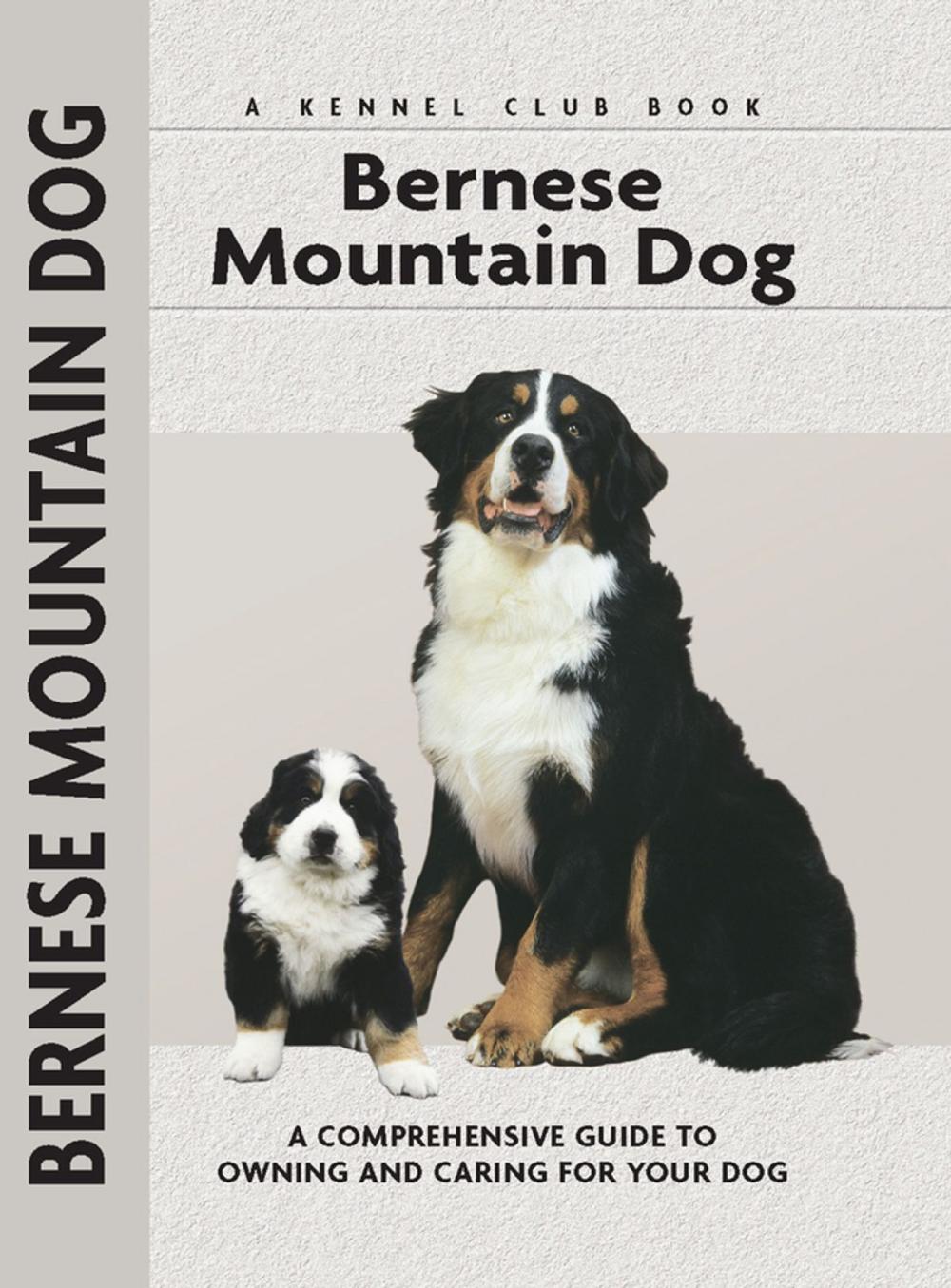 Big bigCover of Bernese Mountain Dog