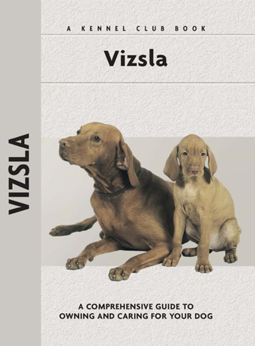 Big bigCover of Vizsla