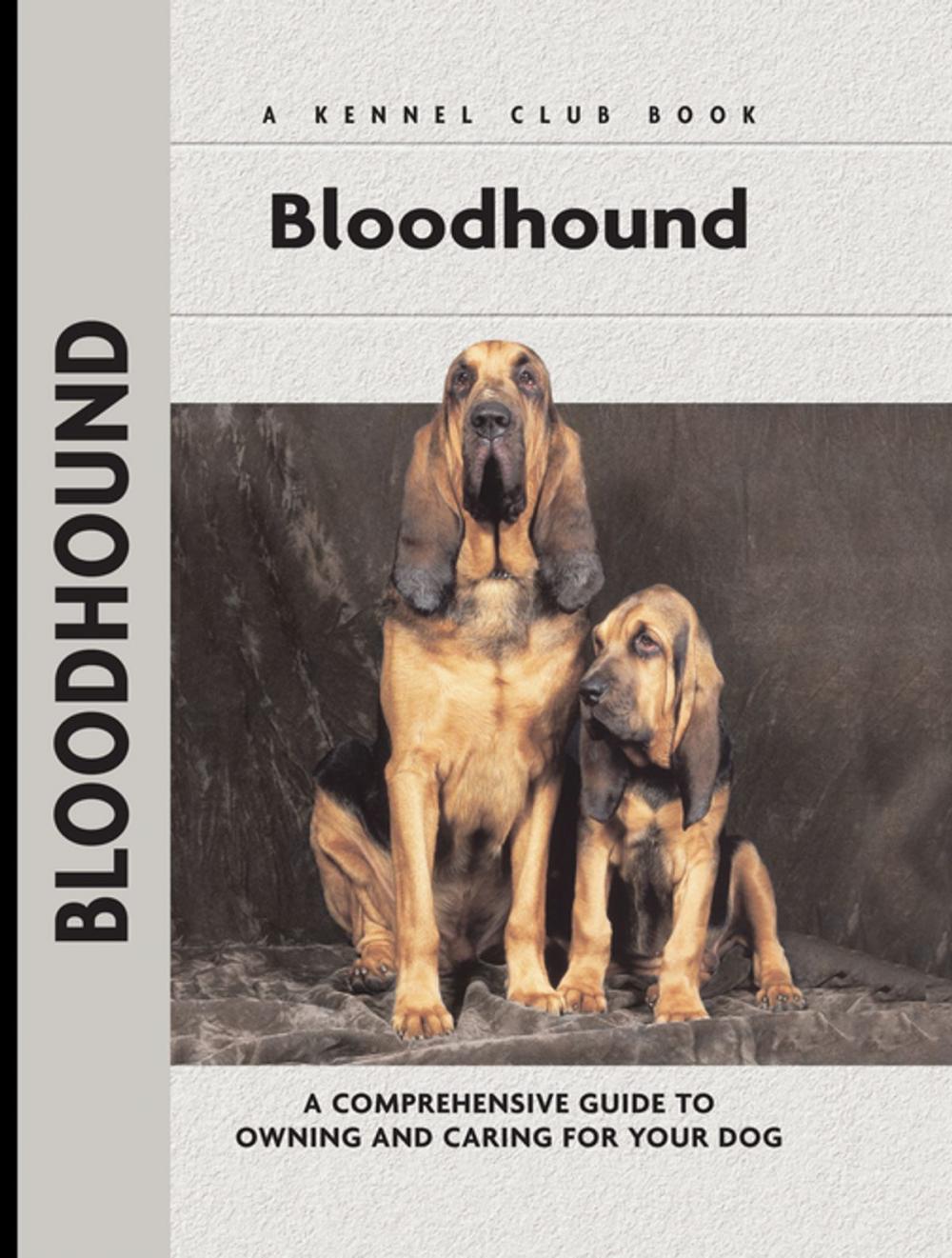 Big bigCover of Bloodhound