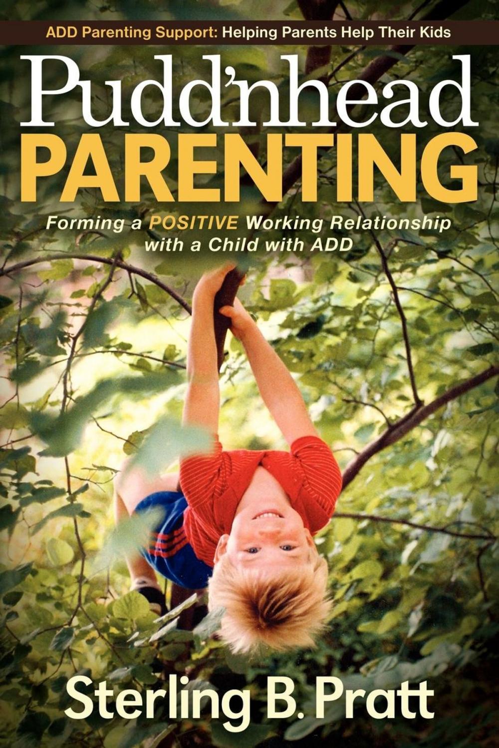 Big bigCover of Pudd'nhead Parenting