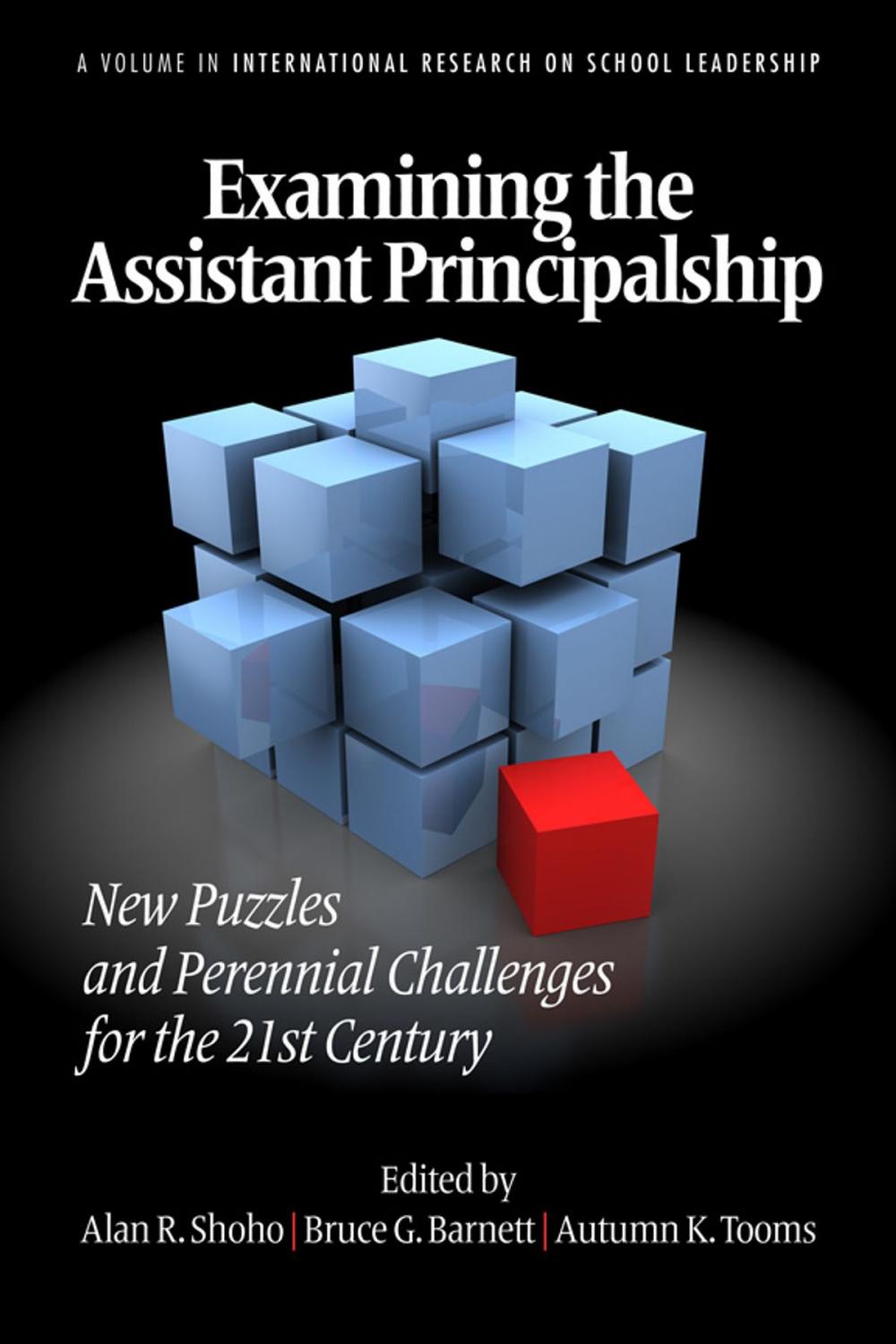 Big bigCover of Examining the Assistant Principalship