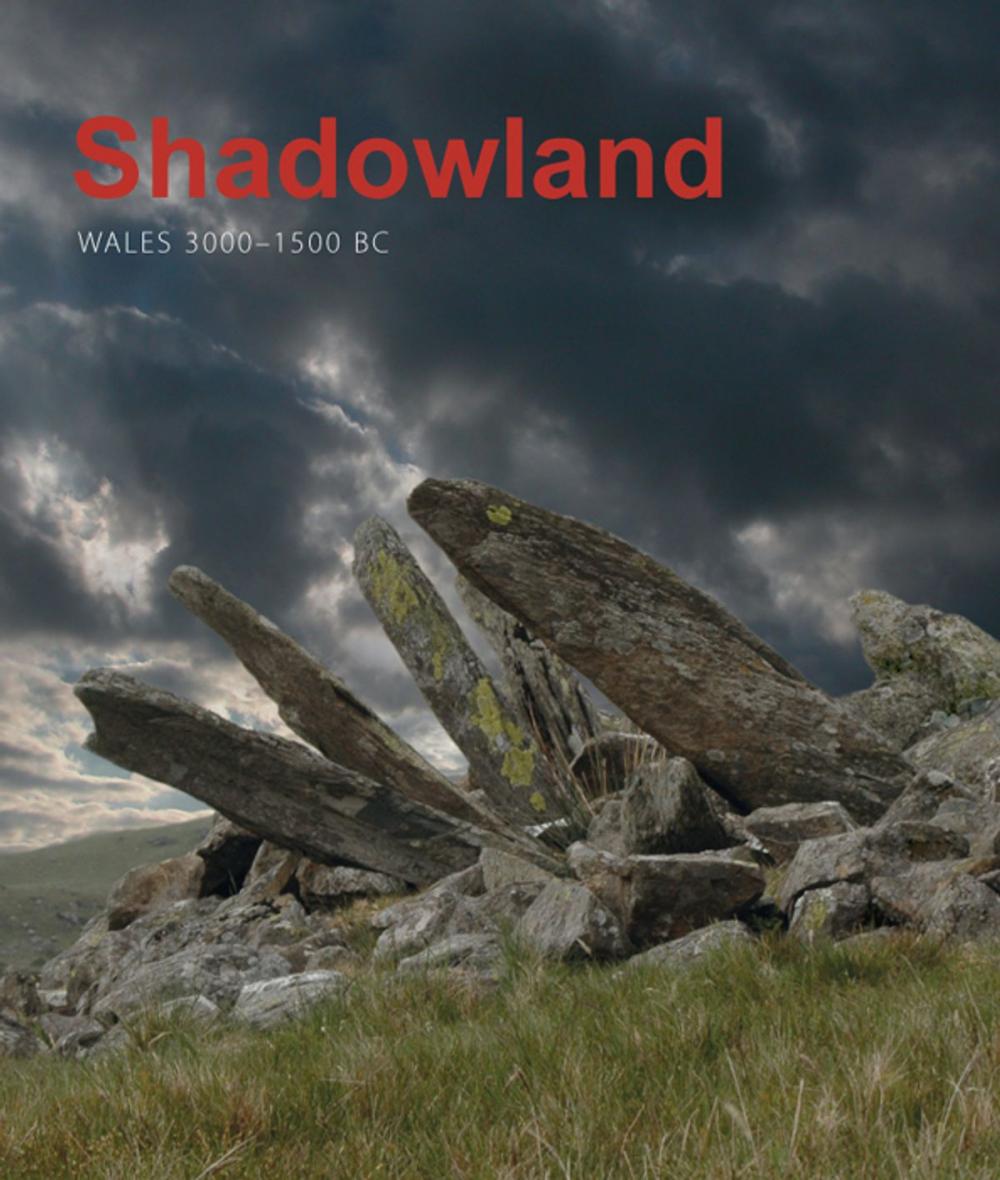 Big bigCover of Shadowland