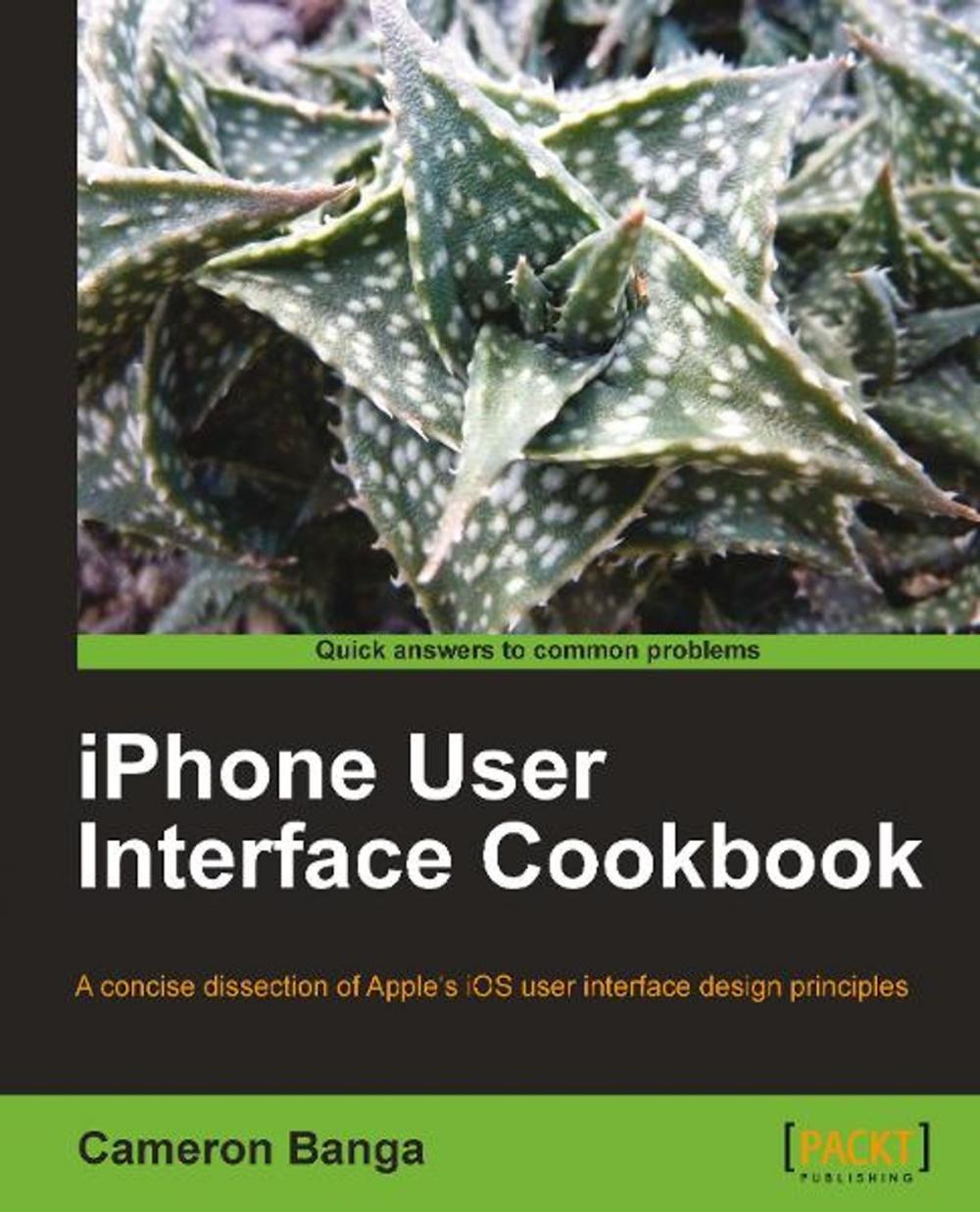 Big bigCover of iPhone User Interface Cookbook