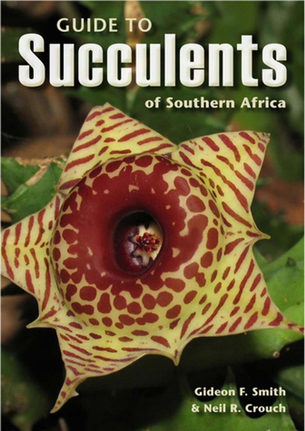 Big bigCover of Guide to Succulents of Southern Africa