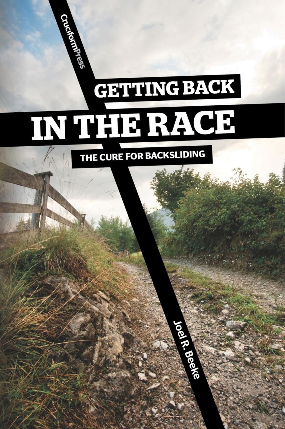 Big bigCover of Getting Back in the Race