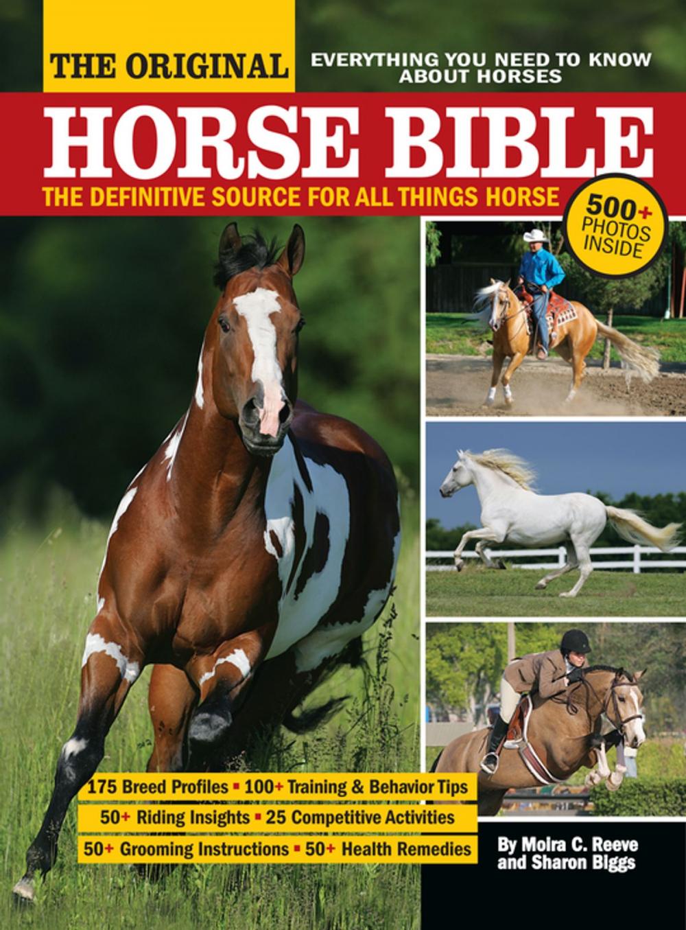 Big bigCover of The Original Horse Bible