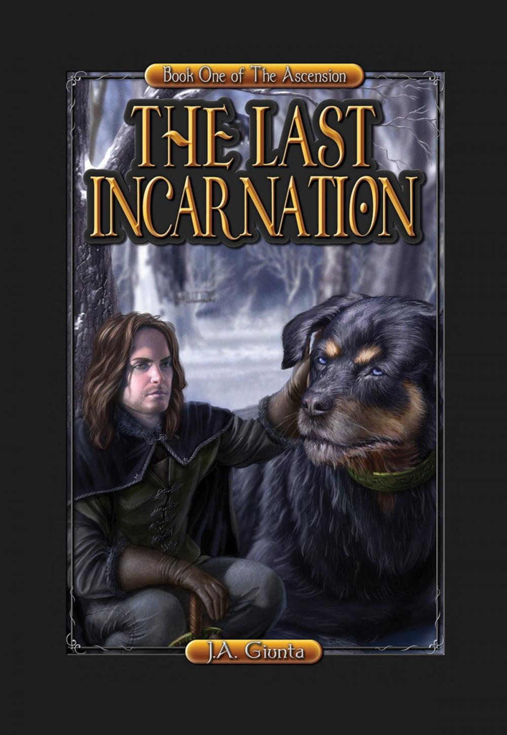 Big bigCover of The Last Incarnation