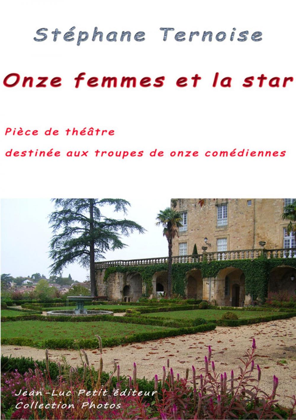 Big bigCover of Onze femmes et la star