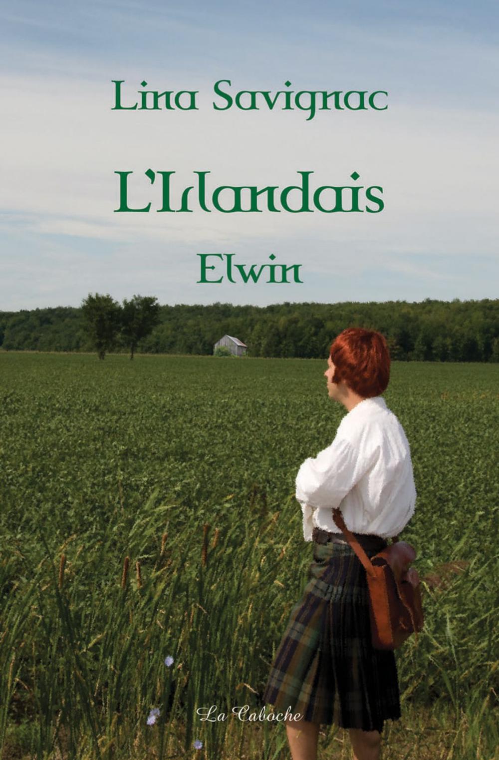 Big bigCover of L'Irlandais - Elwin