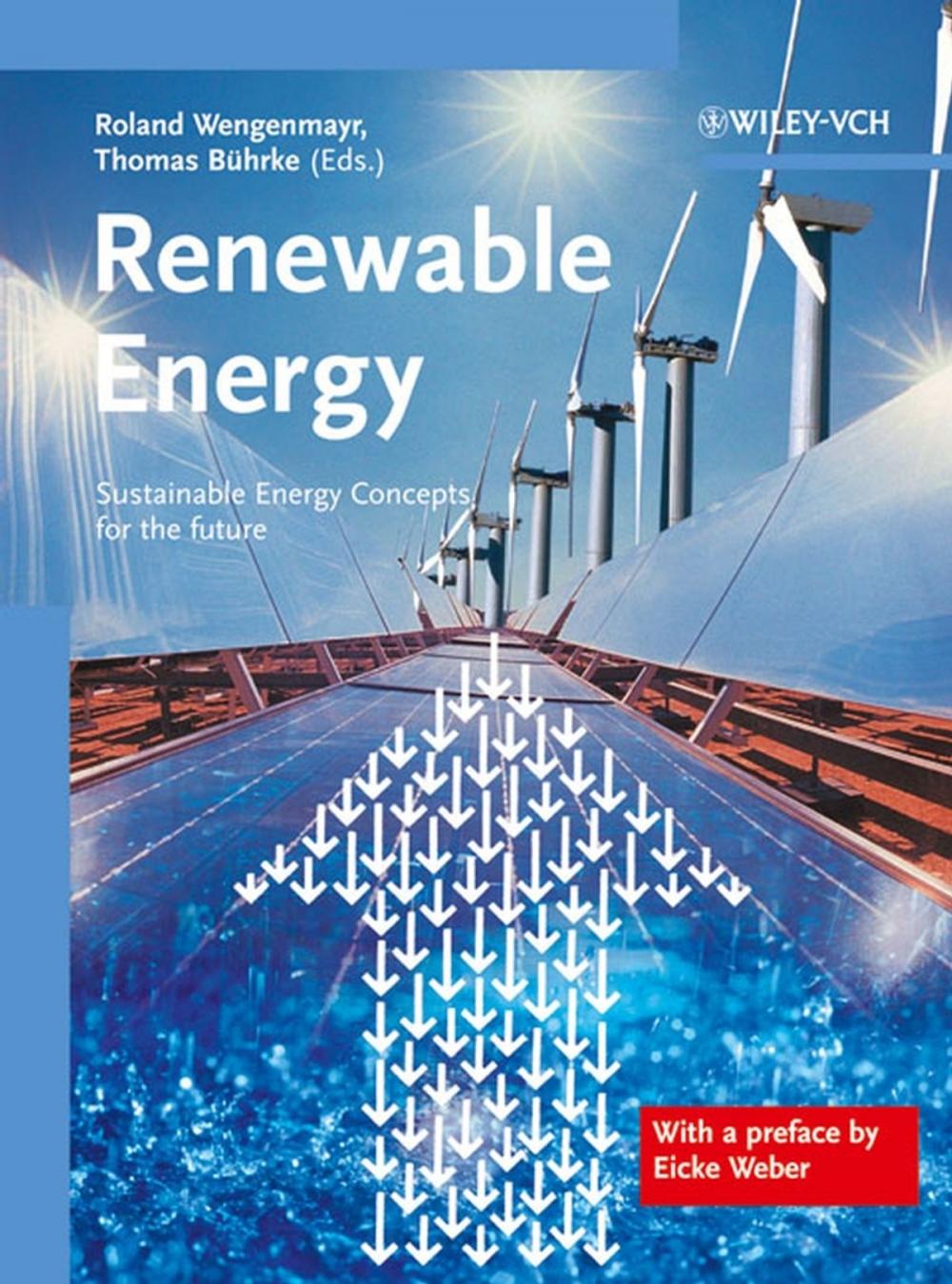 Big bigCover of Renewable Energy