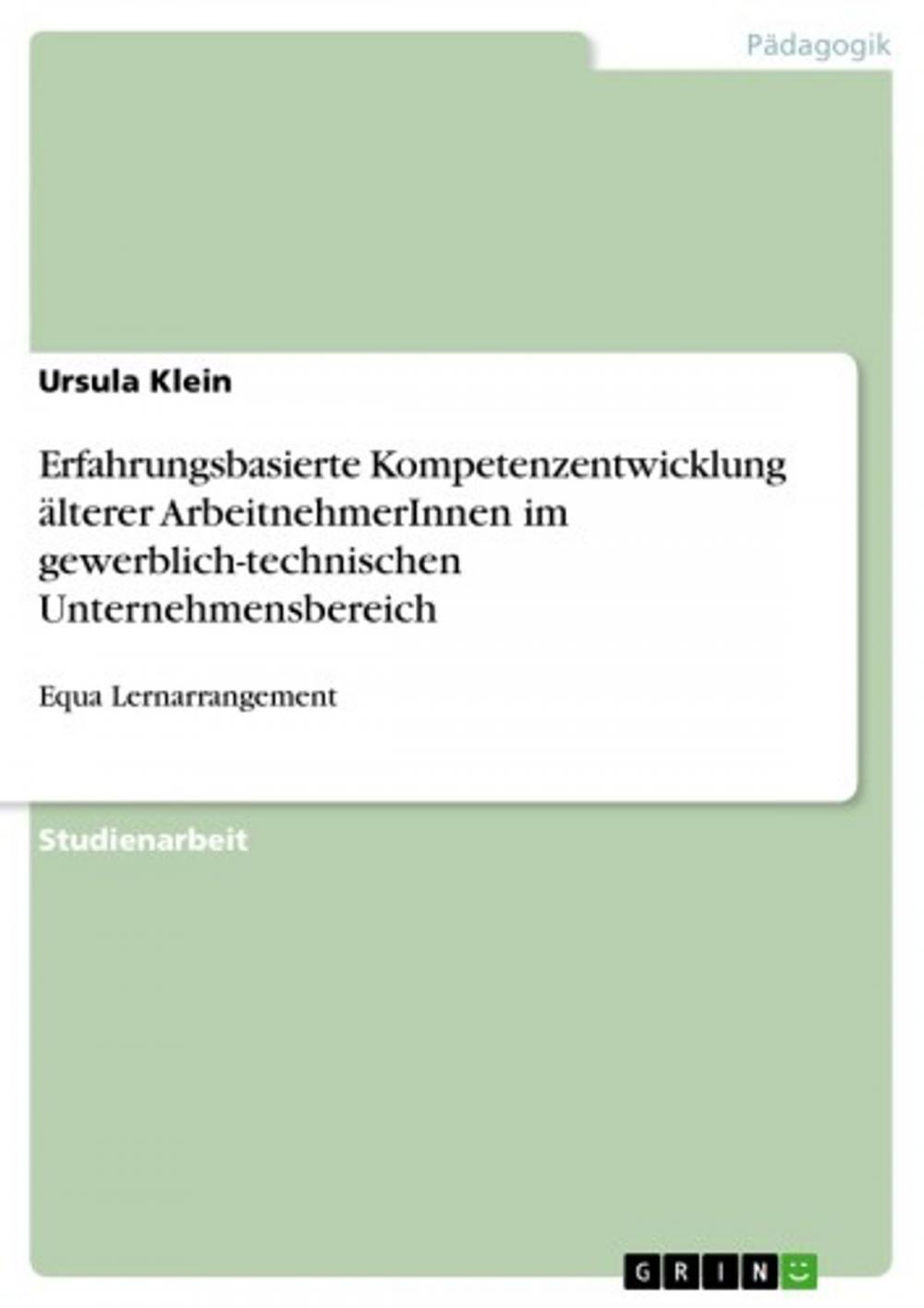 Big bigCover of Erfahrungsbasierte Kompetenzentwicklung älterer ArbeitnehmerInnen im gewerblich-technischen Unternehmensbereich