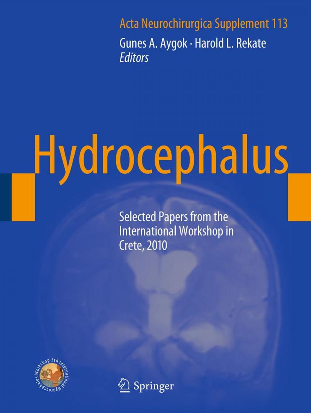 Big bigCover of Hydrocephalus