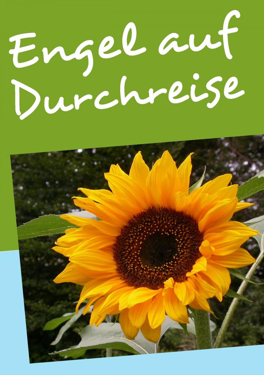 Big bigCover of Engel auf Durchreise