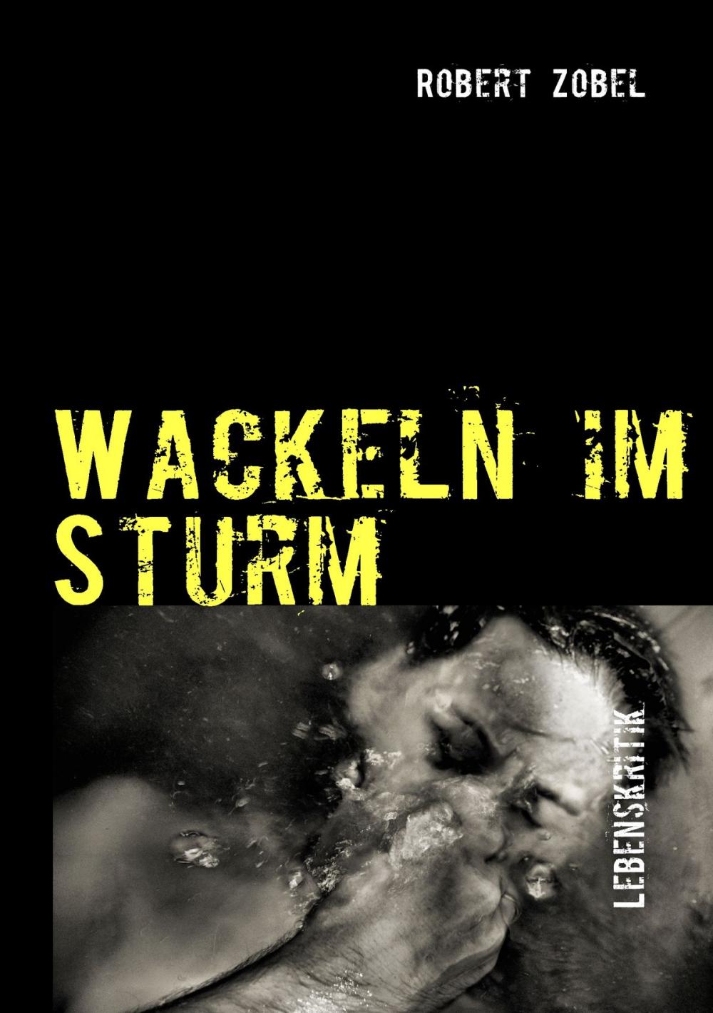 Big bigCover of Wackeln im Sturm