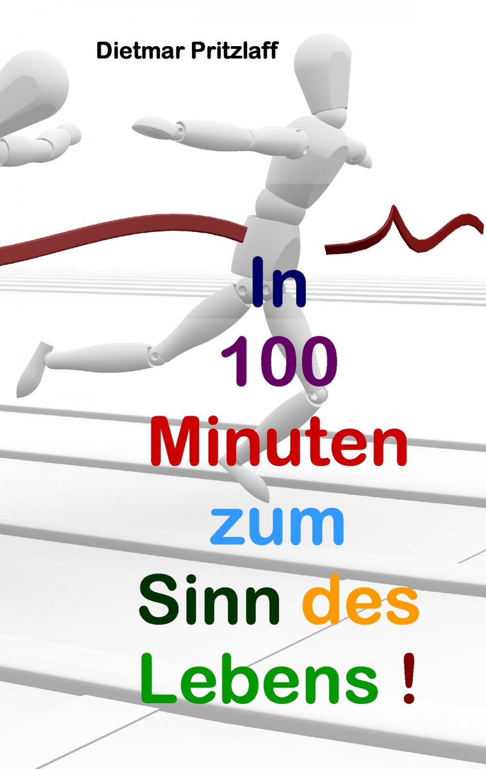 Big bigCover of In 100 Minuten zum Sinn des Lebens!