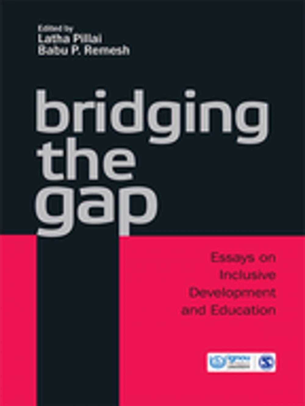 Big bigCover of Bridging The Gap