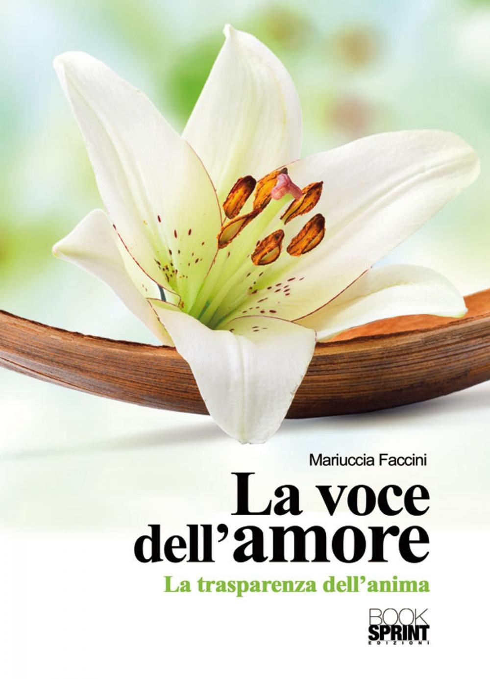 Big bigCover of La voce dell'amore