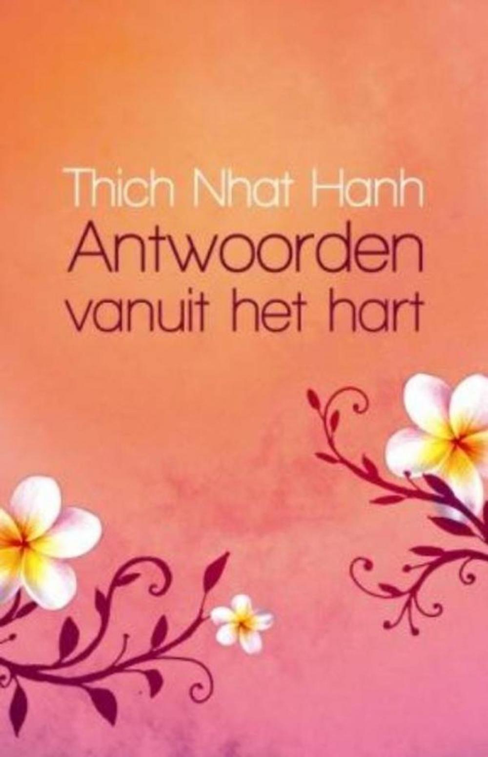 Big bigCover of Antwoorden vanuit het hart