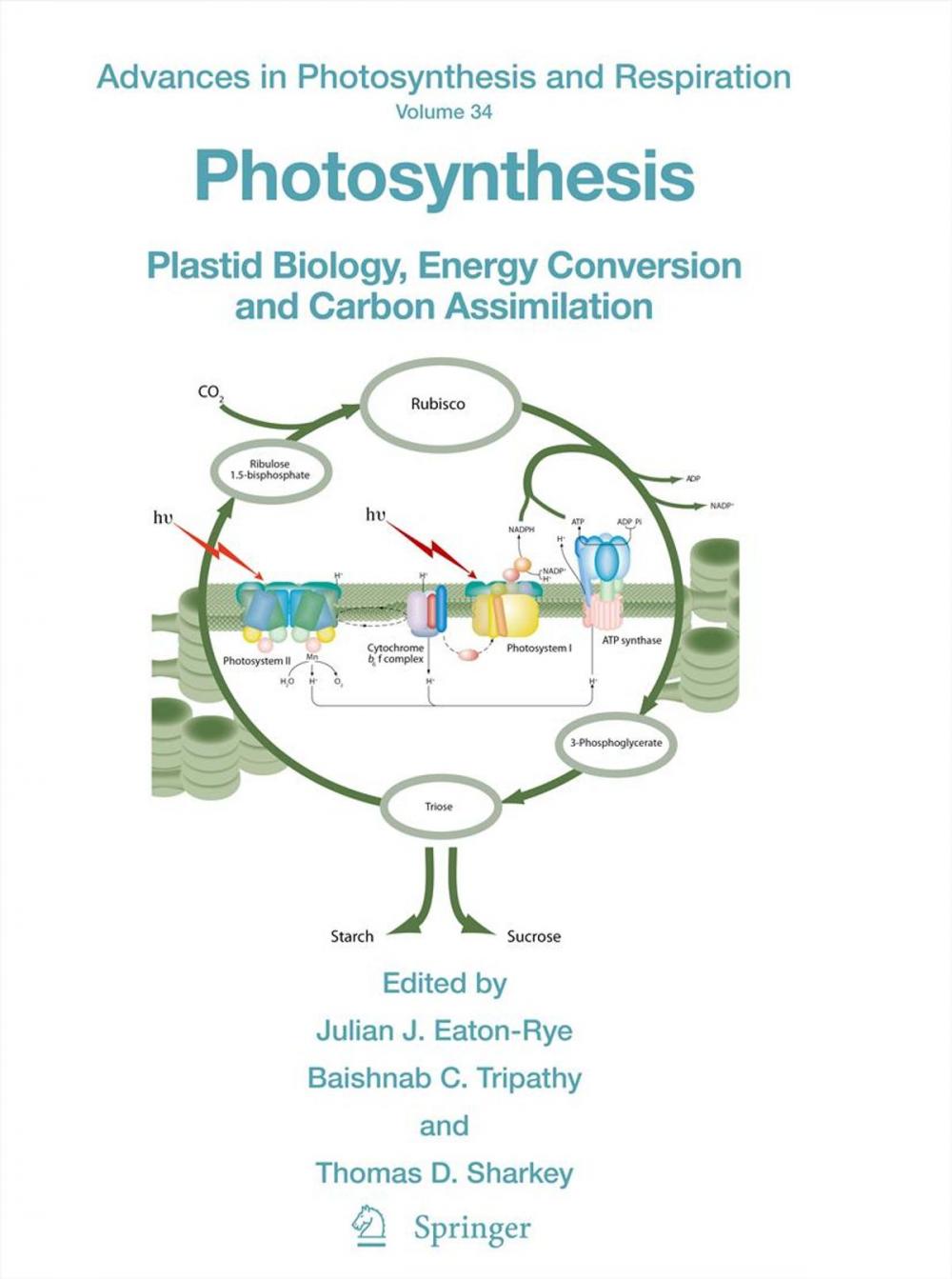 Big bigCover of Photosynthesis