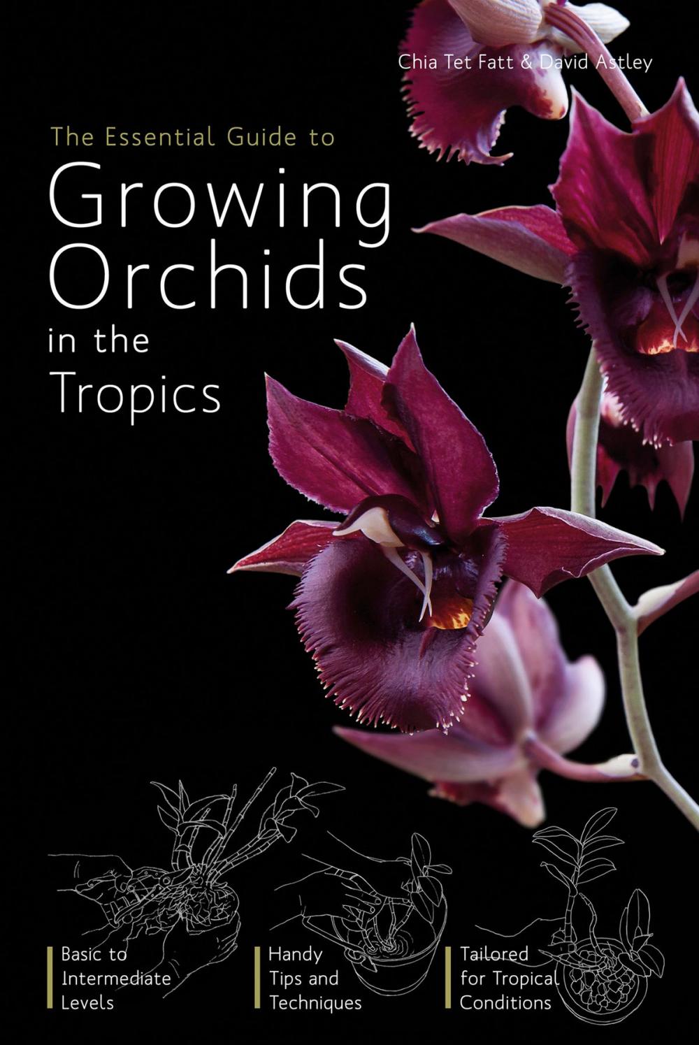 Big bigCover of The Essential Guide to Growing Orchids