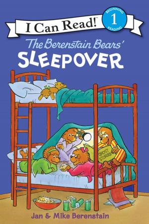 Book cover of The Berenstain Bears' Sleepover