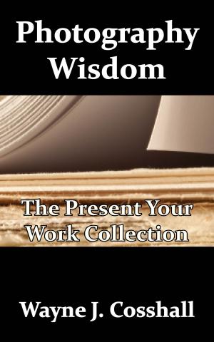 Cover of Photography Wisdom: The Present Your Work Collection